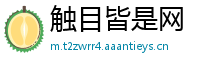 触目皆是网